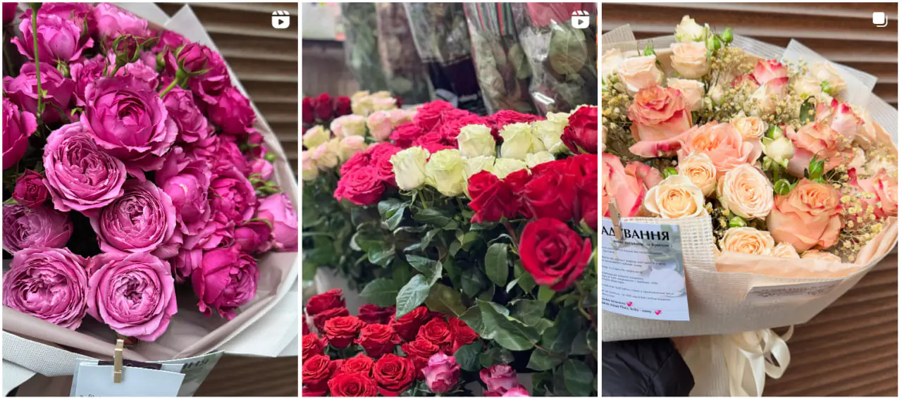 флора квіти