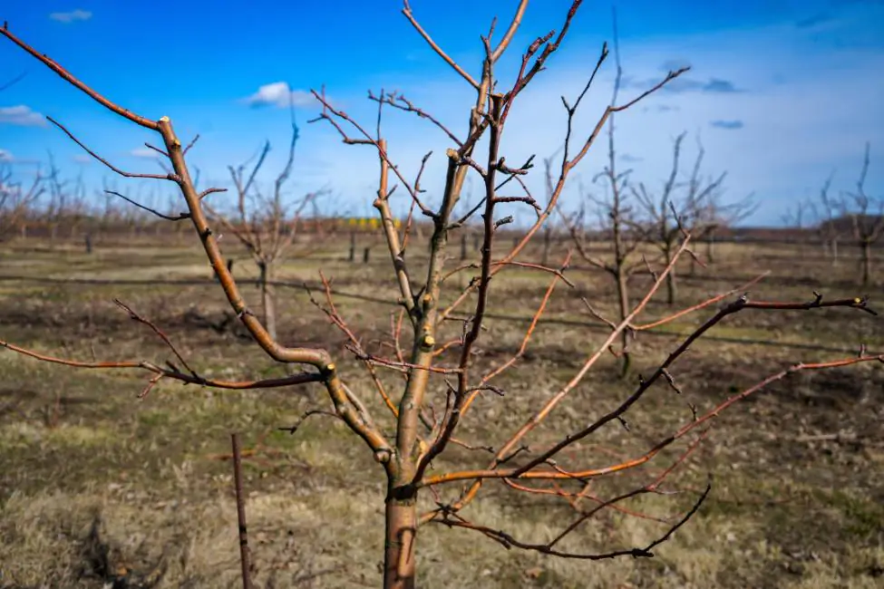 img 9456 1 img 9456 1