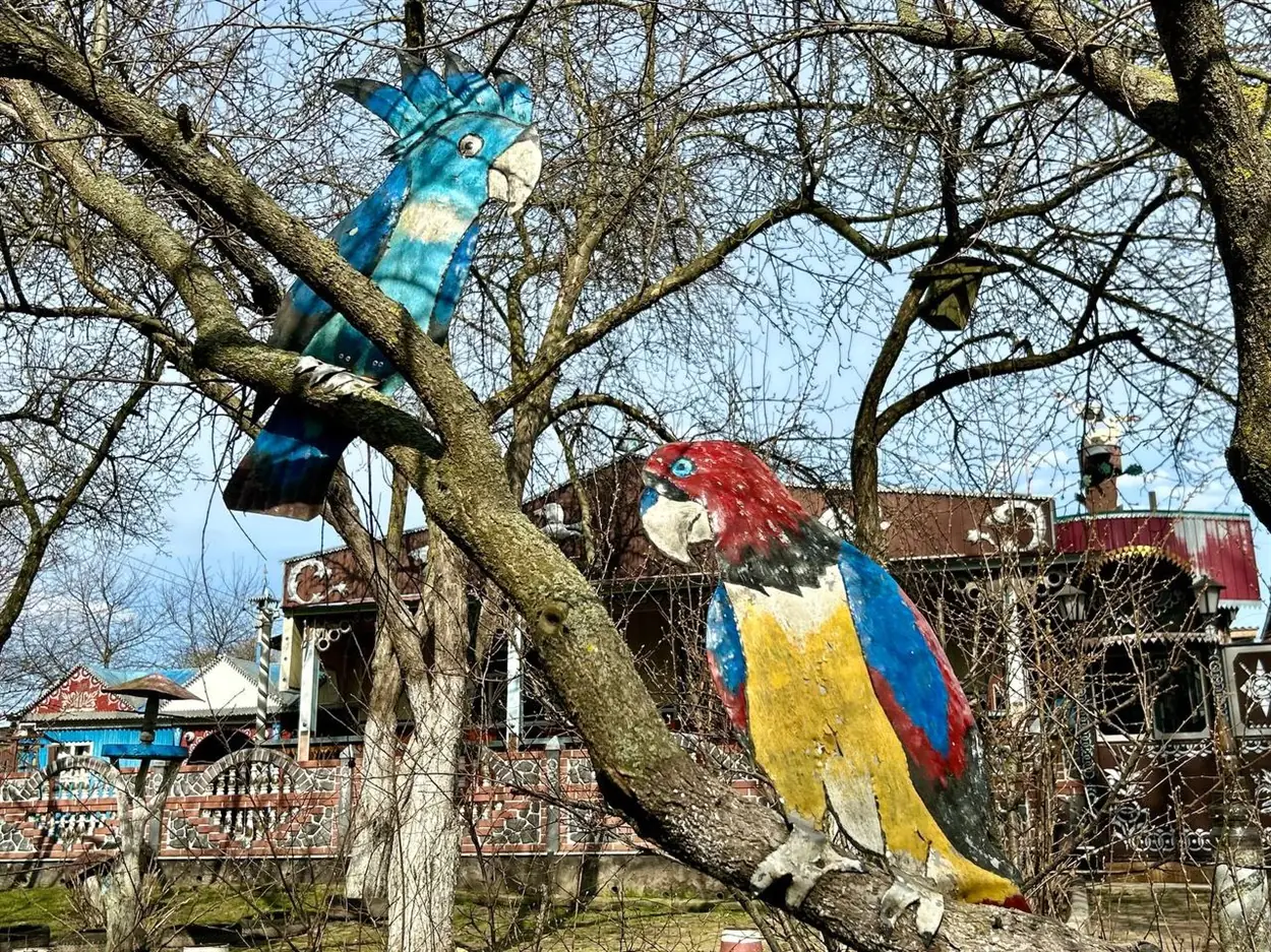 o 1iph11cnf1dia94s1r5u1te1142948 o 1iph11cnf1dia94s1r5u1te1142948