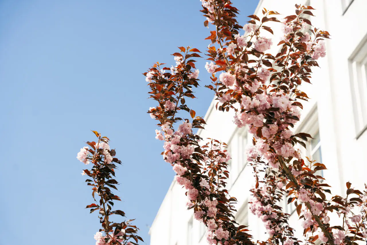 photo 2025 04 08 15 51 20