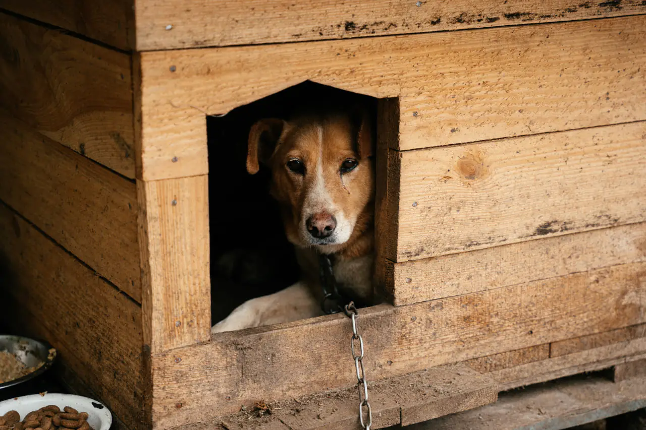 photo 2025 04 11 15 24 08 2 photo 2025 04 11 15 24 08 2