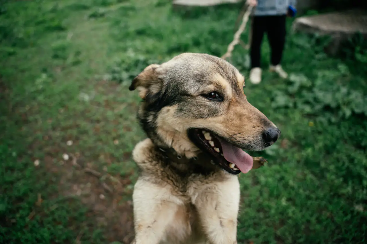 photo 2025 04 11 16 39 10 (2) photo 2025 04 11 16 39 10 (2)