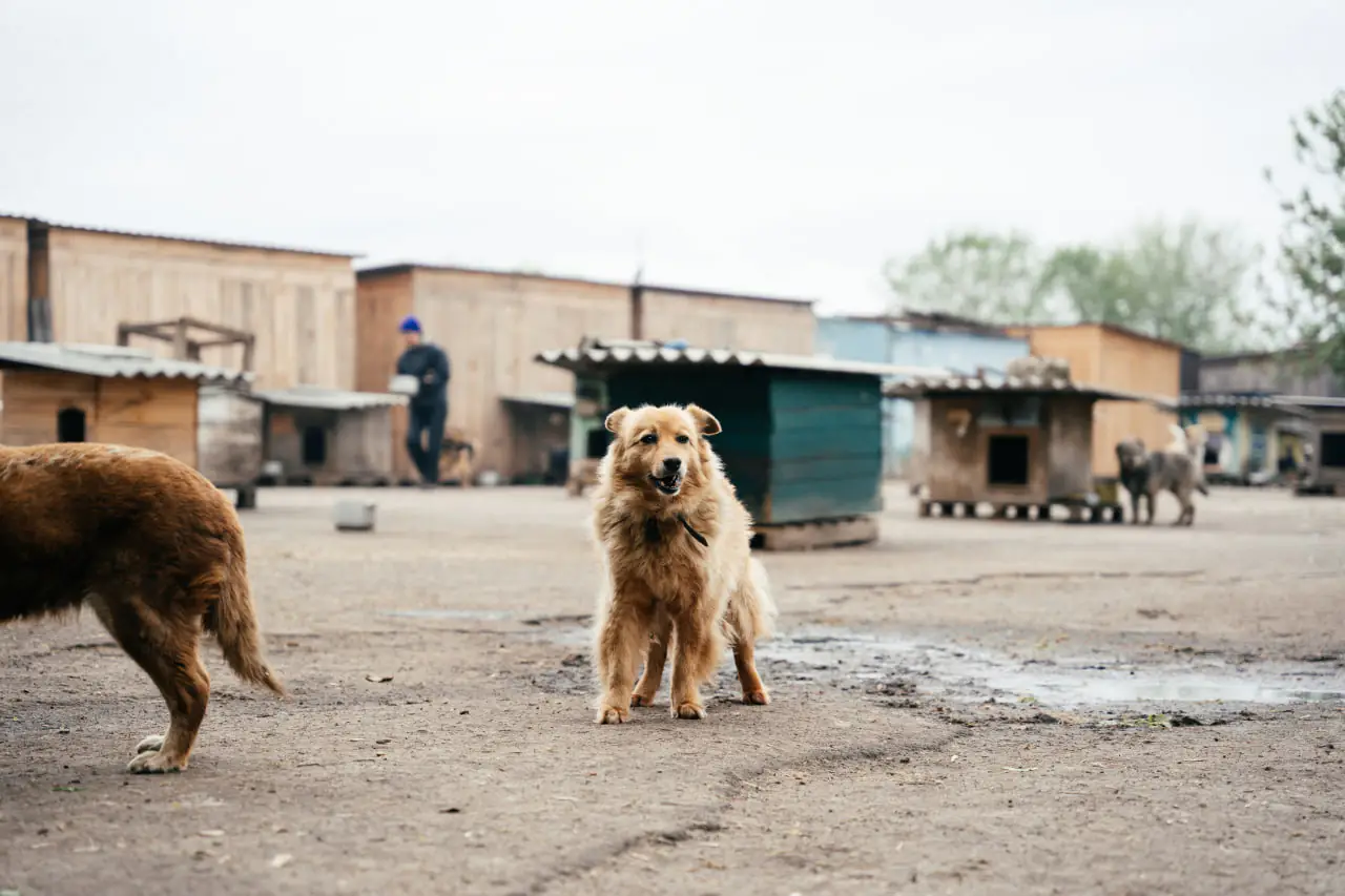 photo 2025 04 11 16 39 10 photo 2025 04 11 16 39 10