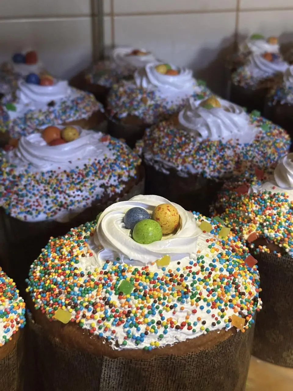 photo 2025 04 16 12 57 55 photo 2025 04 16 12 57 55