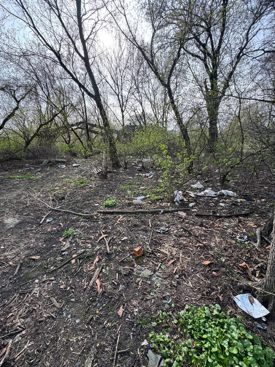 photo 2025 04 22 15 02 09