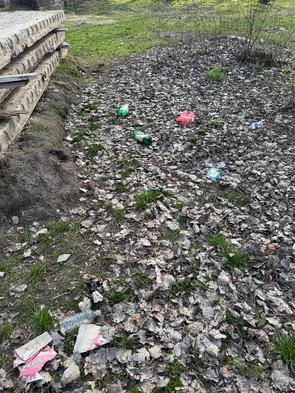 photo 2025 04 22 15 02 15