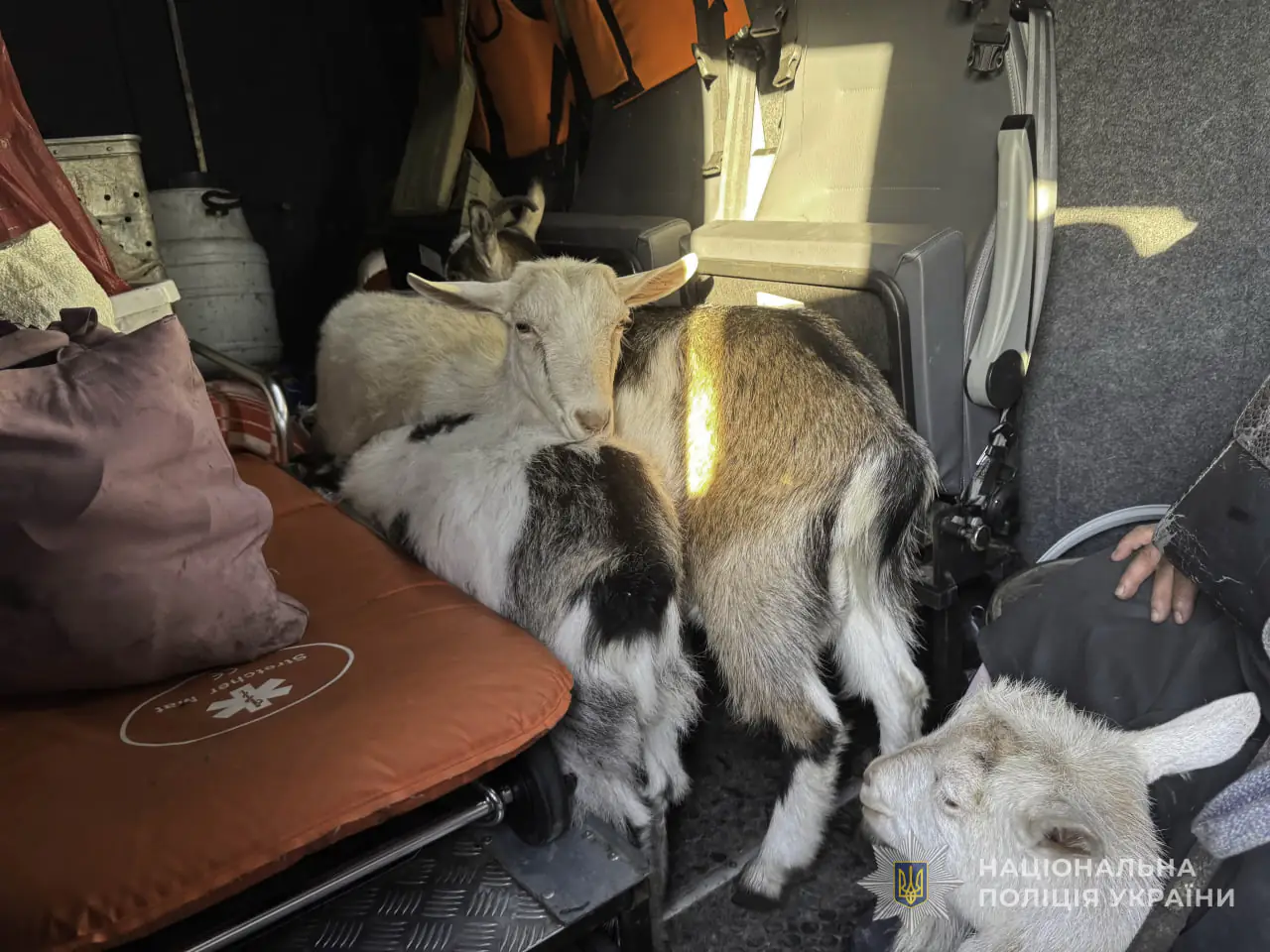 photo 2025 04 24 15 00 31