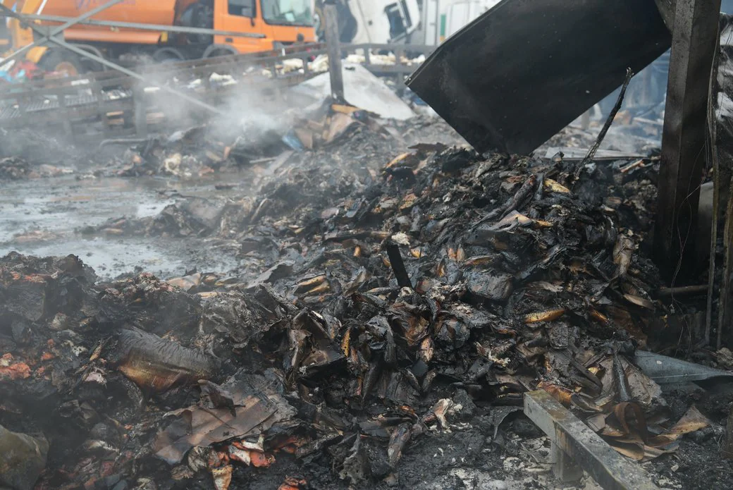 zobrazhennia 2025 04 06 162626736