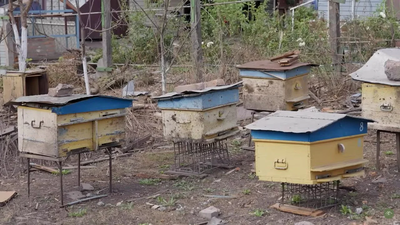 zobrazhennia 2025 04 07 172841784