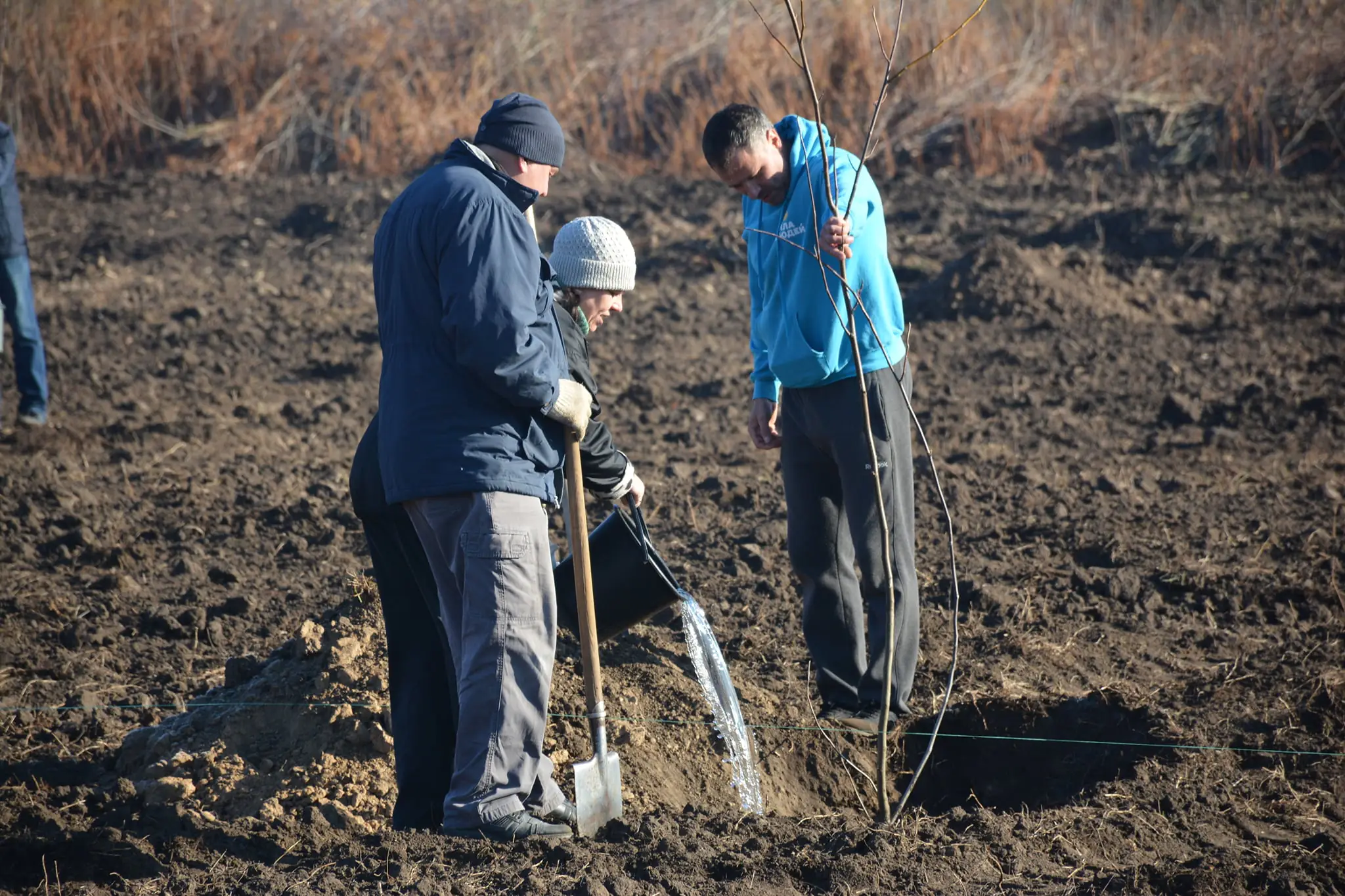 476156608 4236224706619306 242380192158803901 n