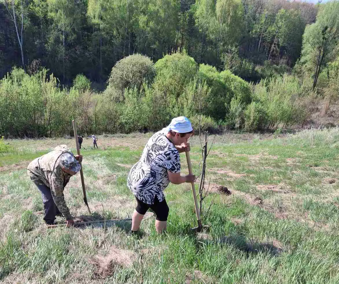 494562944 672573955409412 1247586028016732533 n