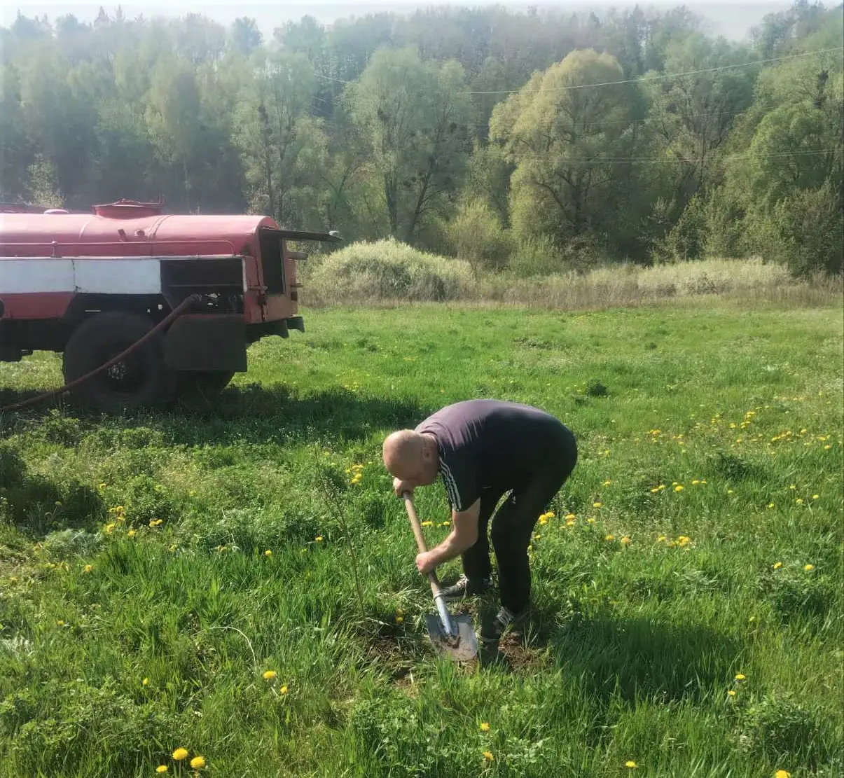 495042440 672573782076096 2908598610149321730 n