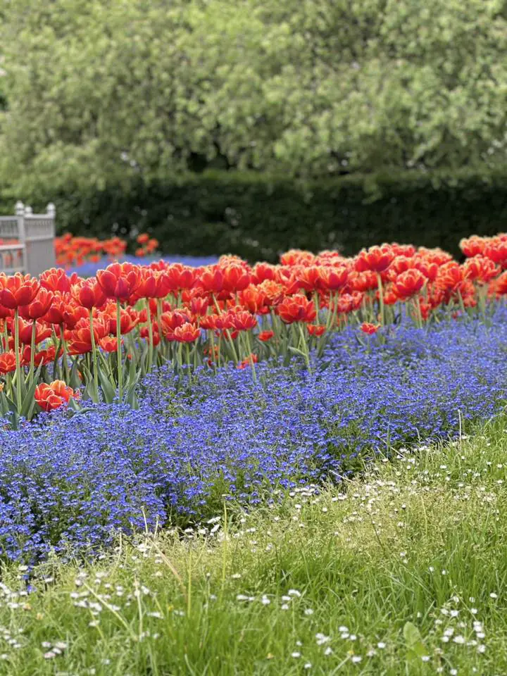 495374321 4326743127642797 836022544624203557 n