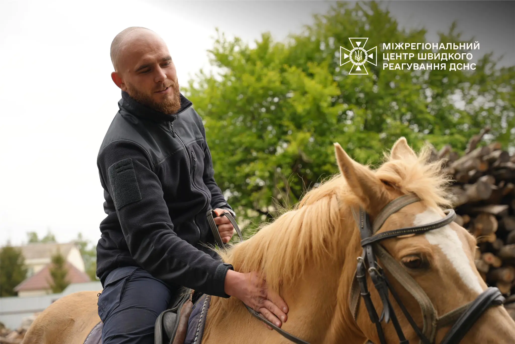 498543414 1111316064370488 8405783539216191479 n 498543414 1111316064370488 8405783539216191479 n