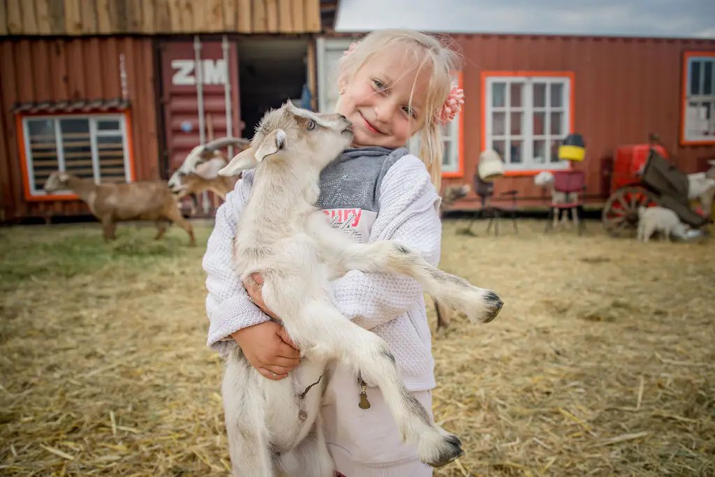 682857c195cdd5c4db325312 AD 4nXddVImEESVCOv7b7h66cxI683Yolji9008RRNirplFbcxvFYh02sHNka7DJxXjFGO2HKx3ZU5JjVNm43 s8WIOPas5rwb4Pu96RzJu qseGLEC09a2M99q9iLEeaCzT838Q4I47Gg 682857c195cdd5c4db325312 AD 4nXddVImEESVCOv7b7h66cxI683Yolji9008RRNirplFbcxvFYh02sHNka7DJxXjFGO2HKx3ZU5JjVNm43 s8WIOPas5rwb4Pu96RzJu qseGLEC09a2M99q9iLEeaCzT838Q4I47Gg