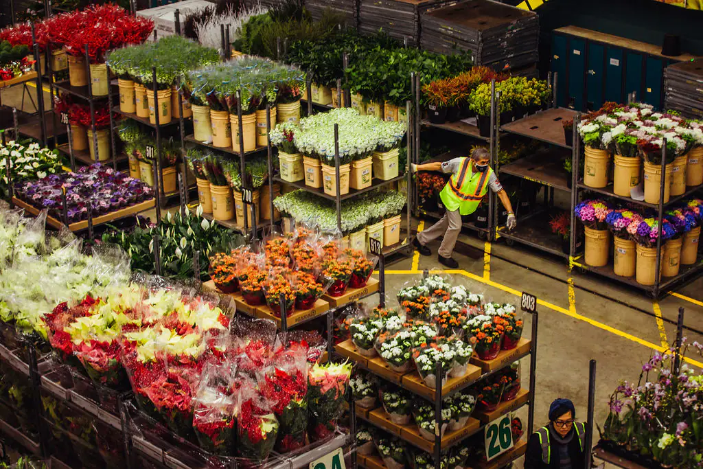 682857c1a406b7094b4dc829 AD 4nXe3n o 3PziIqsHY6E6LRT0BysGccMQWV37T0sj3tff4bZ0VqeS1L0zoqgIKR5CBQsFQoQjXbSDHzUOrRD6sjyggKZDoFDK0yJPdS HiCtq LYX CdS1BScLYx3qXlQ539Omh uPw 682857c1a406b7094b4dc829 AD 4nXe3n o 3PziIqsHY6E6LRT0BysGccMQWV37T0sj3tff4bZ0VqeS1L0zoqgIKR5CBQsFQoQjXbSDHzUOrRD6sjyggKZDoFDK0yJPdS HiCtq LYX CdS1BScLYx3qXlQ539Omh uPw