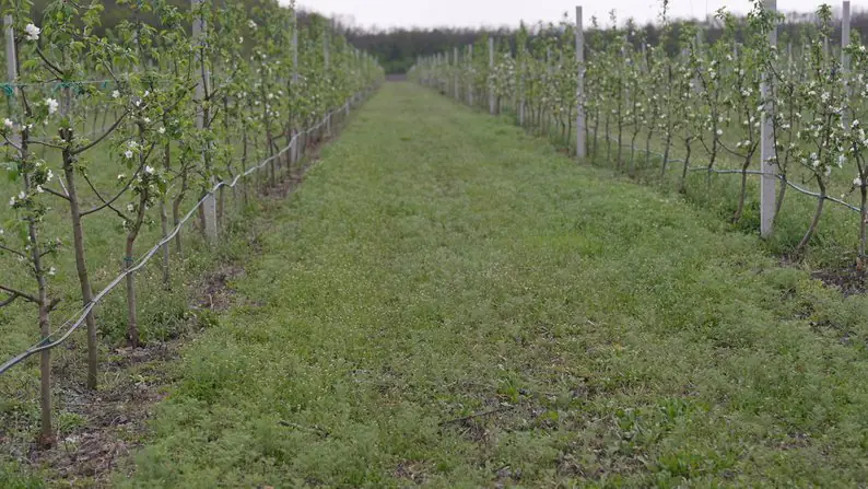 68edc9302c60c68d 68edc9302c60c68d