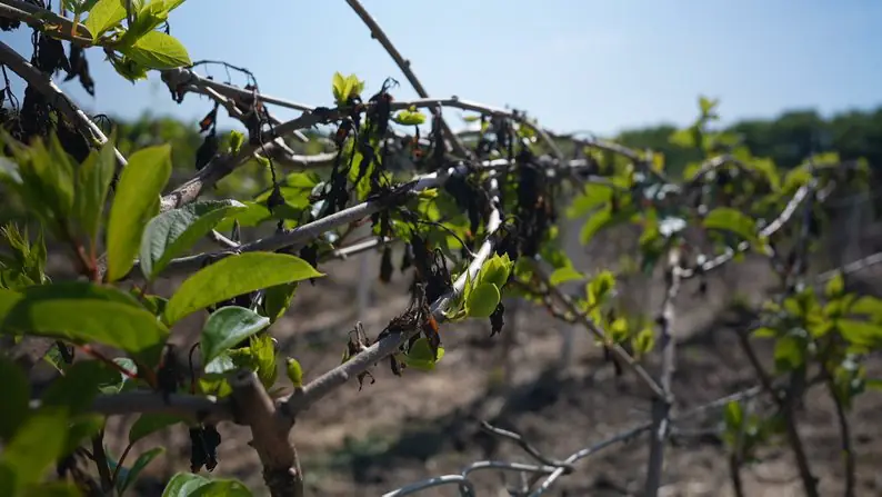 89eb0732203fbc40 89eb0732203fbc40