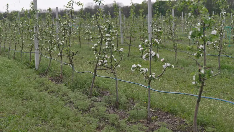 dd1b1776e25357ed dd1b1776e25357ed