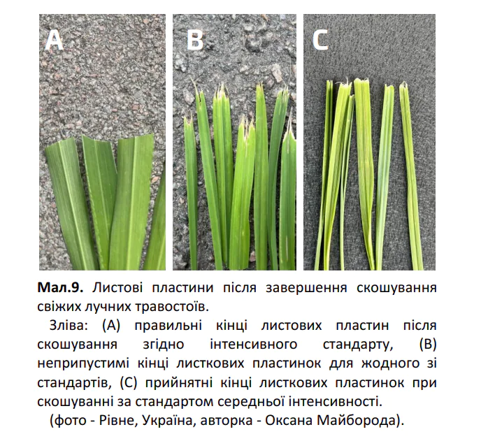 image 2025 05 23 12 47 45