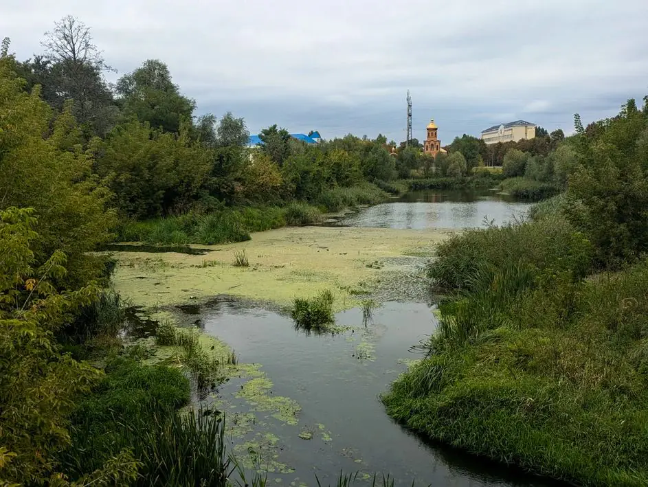 image 630ef482 e3e5 48eb a43a ab7a0e1e8ed7 image 630ef482 e3e5 48eb a43a ab7a0e1e8ed7