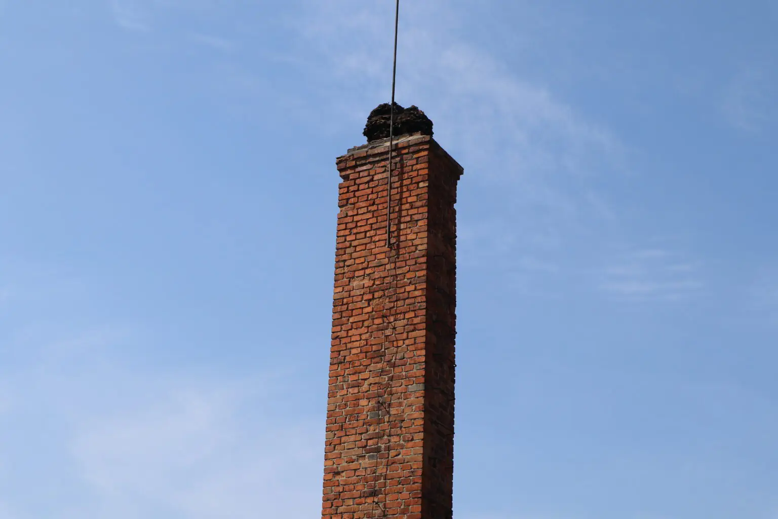 leleche gnizdo 2024 1536x1024 1 leleche gnizdo 2024 1536x1024 1