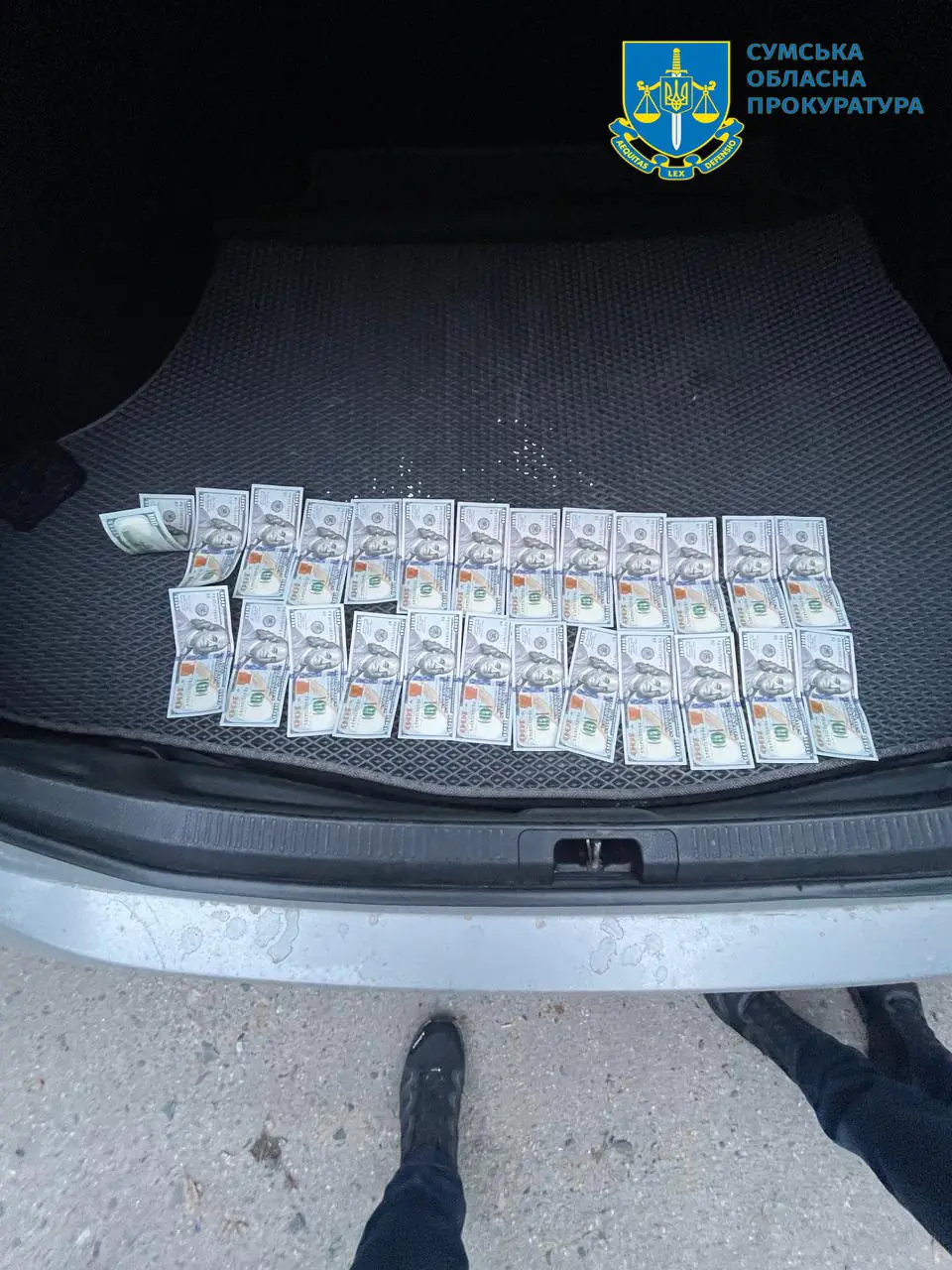 photo 2024 06 11 17 00 08 (2)