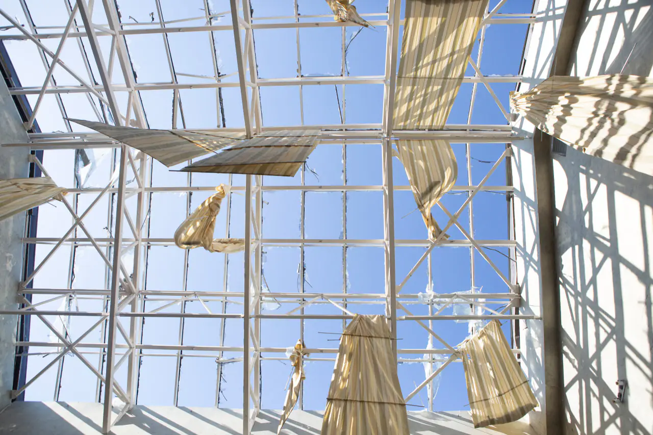 photo 2025 05 01 11 50 31 2