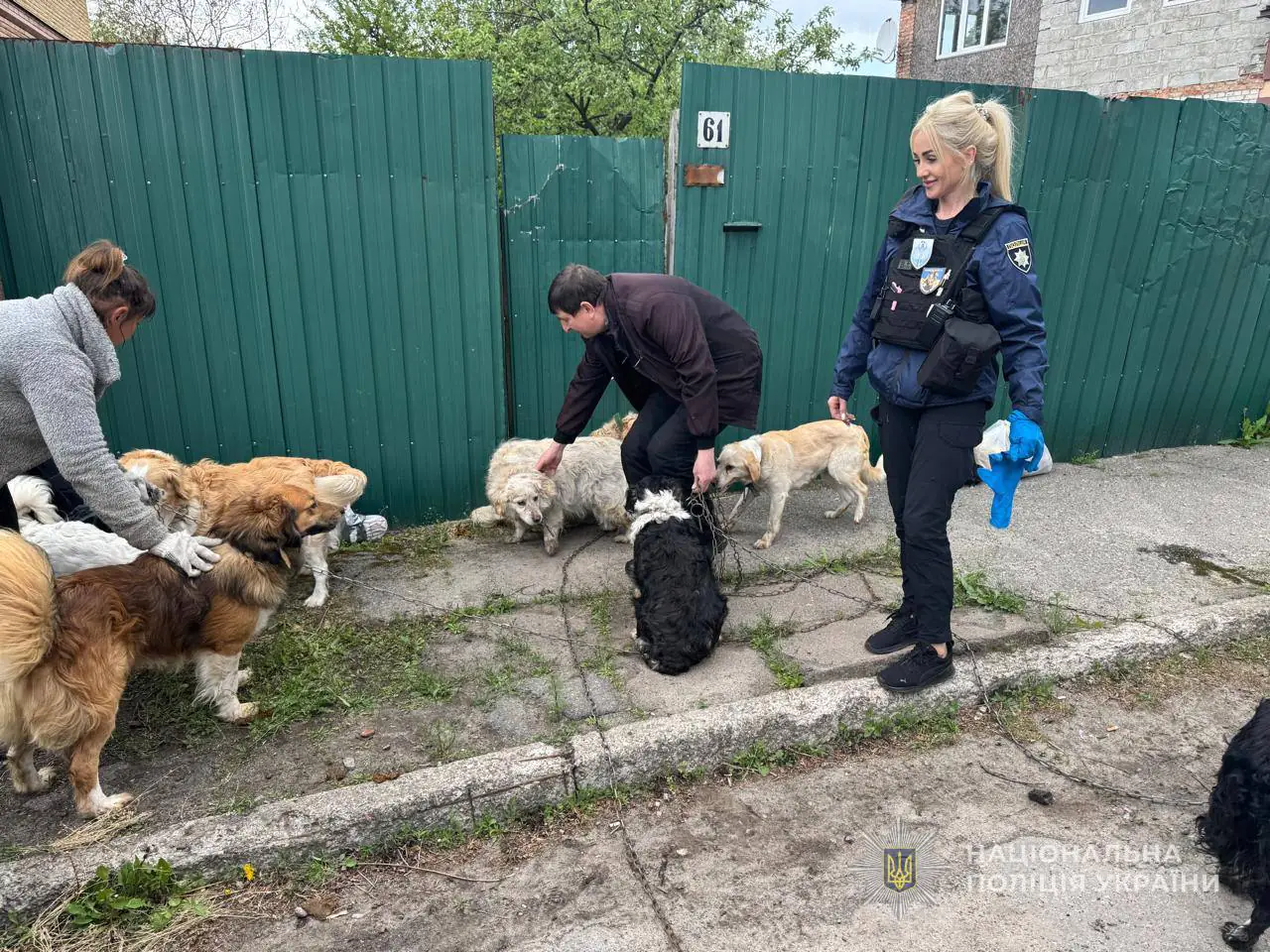 photo 2025 05 09 11 02 00