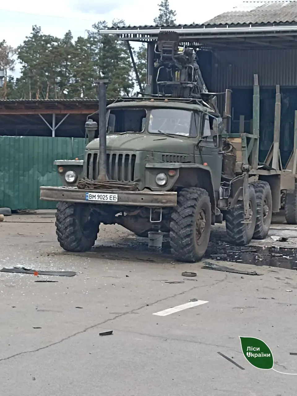 photo 2025 05 12 13 12 13 3