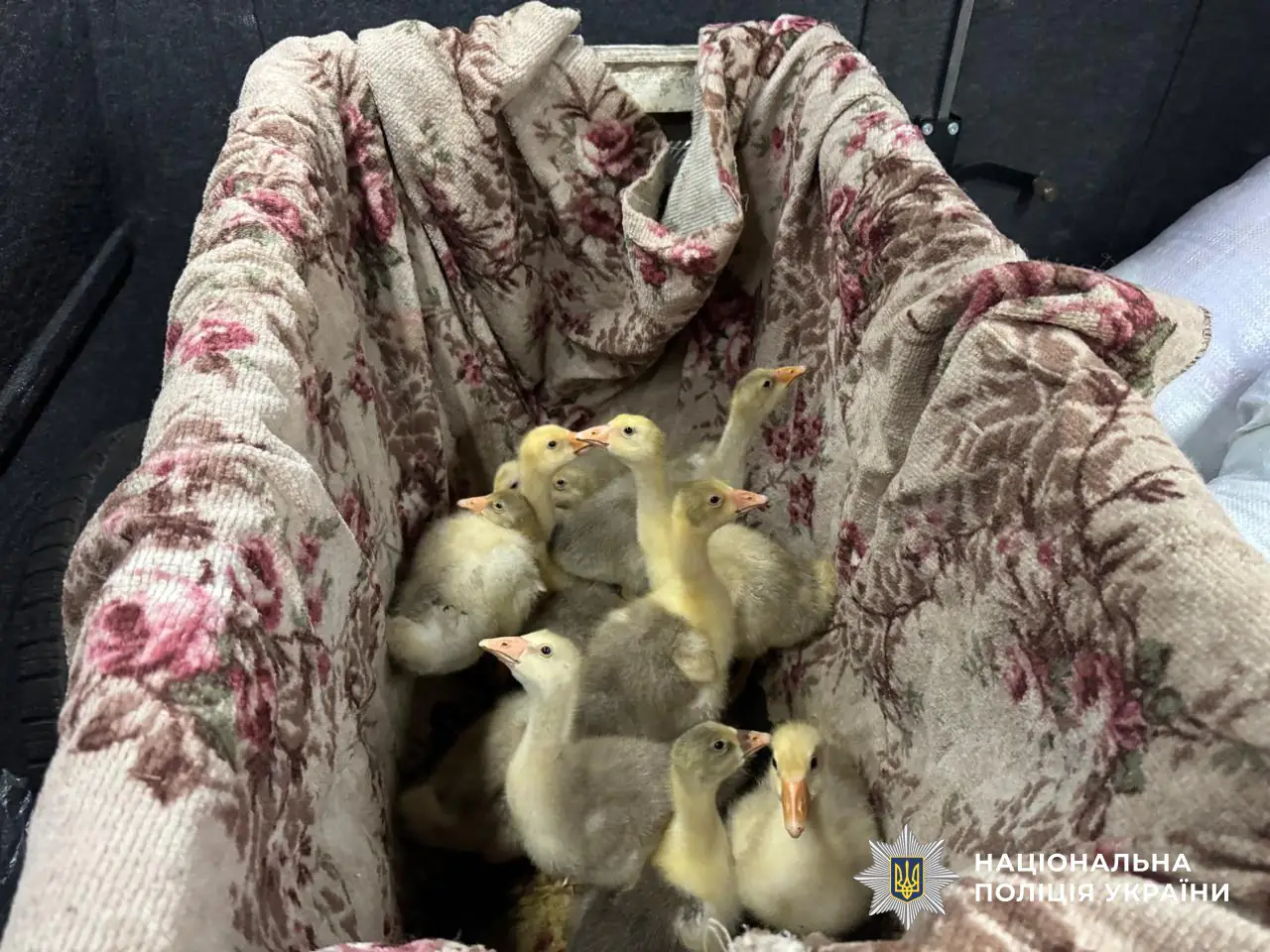 photo 2025 05 12 17 44 26 3