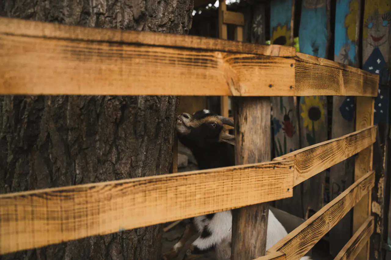 photo 2025 05 23 17 32 05 photo 2025 05 23 17 32 05