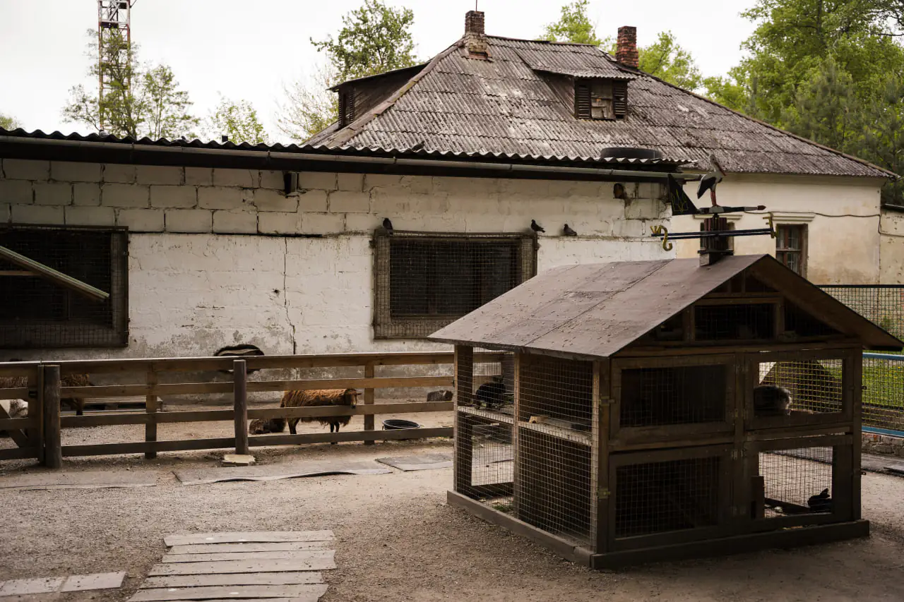 photo 2025 05 23 17 32 20 photo 2025 05 23 17 32 20