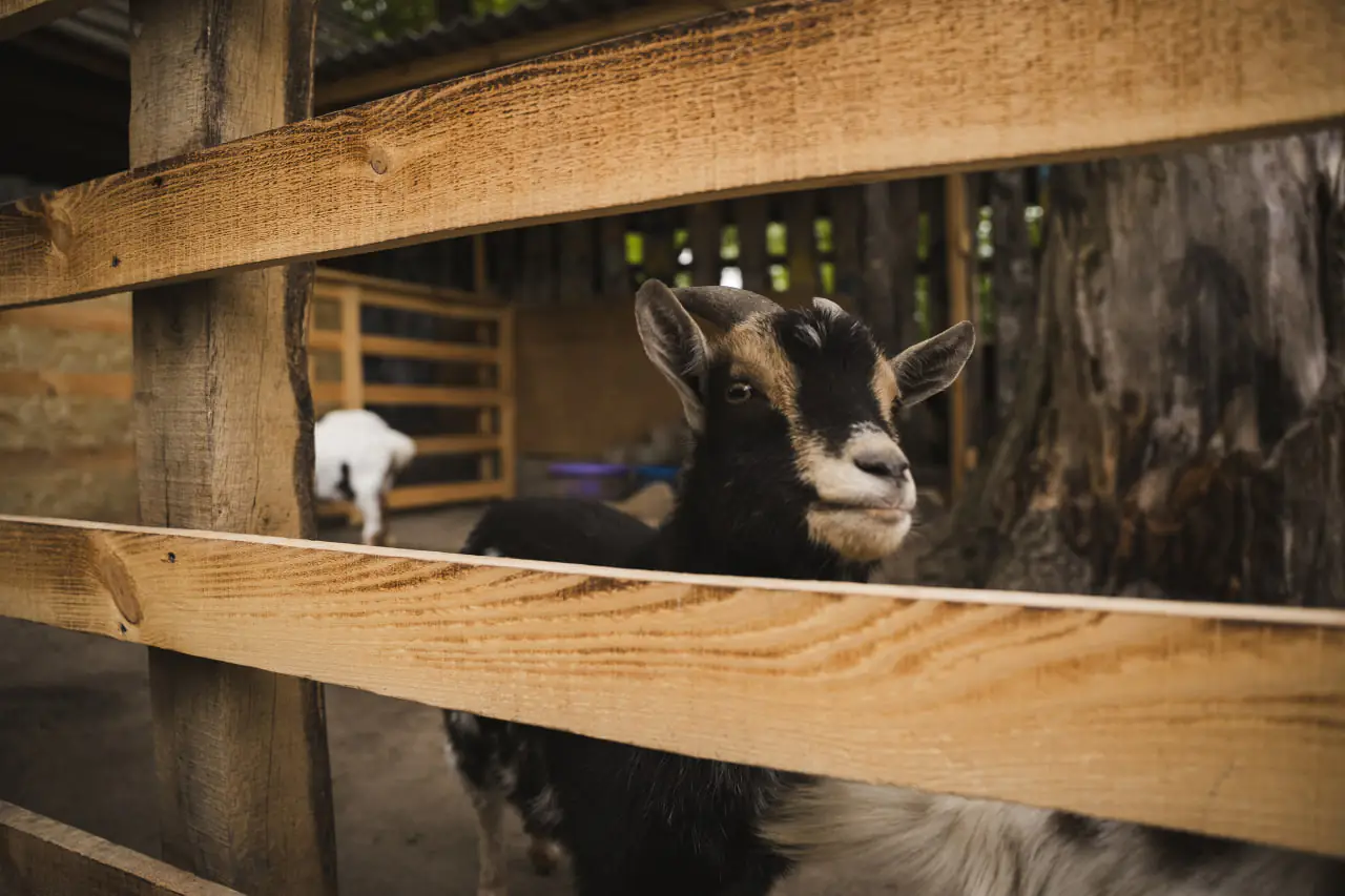 photo 2025 05 23 17 32 27 photo 2025 05 23 17 32 27