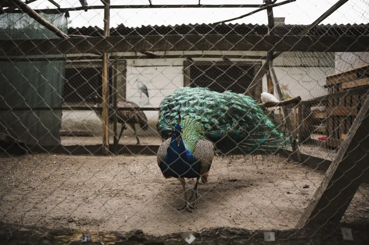 photo 2025 05 23 17 32 34 photo 2025 05 23 17 32 34