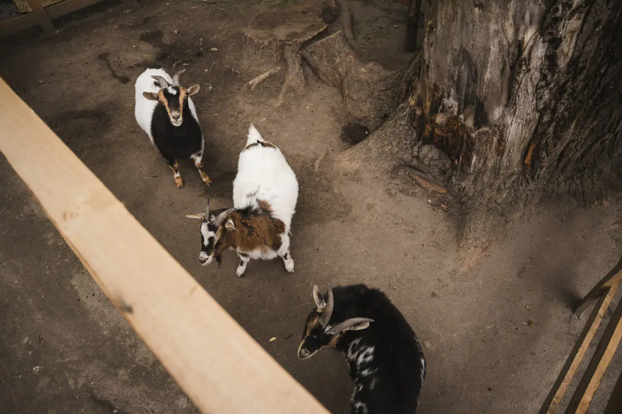 photo 2025 05 23 17 32 41 photo 2025 05 23 17 32 41