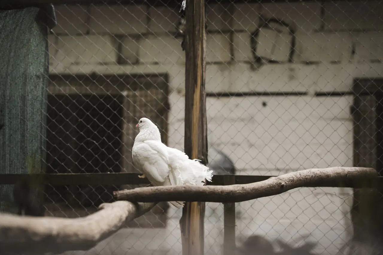 photo 2025 05 23 18 20 53 photo 2025 05 23 18 20 53