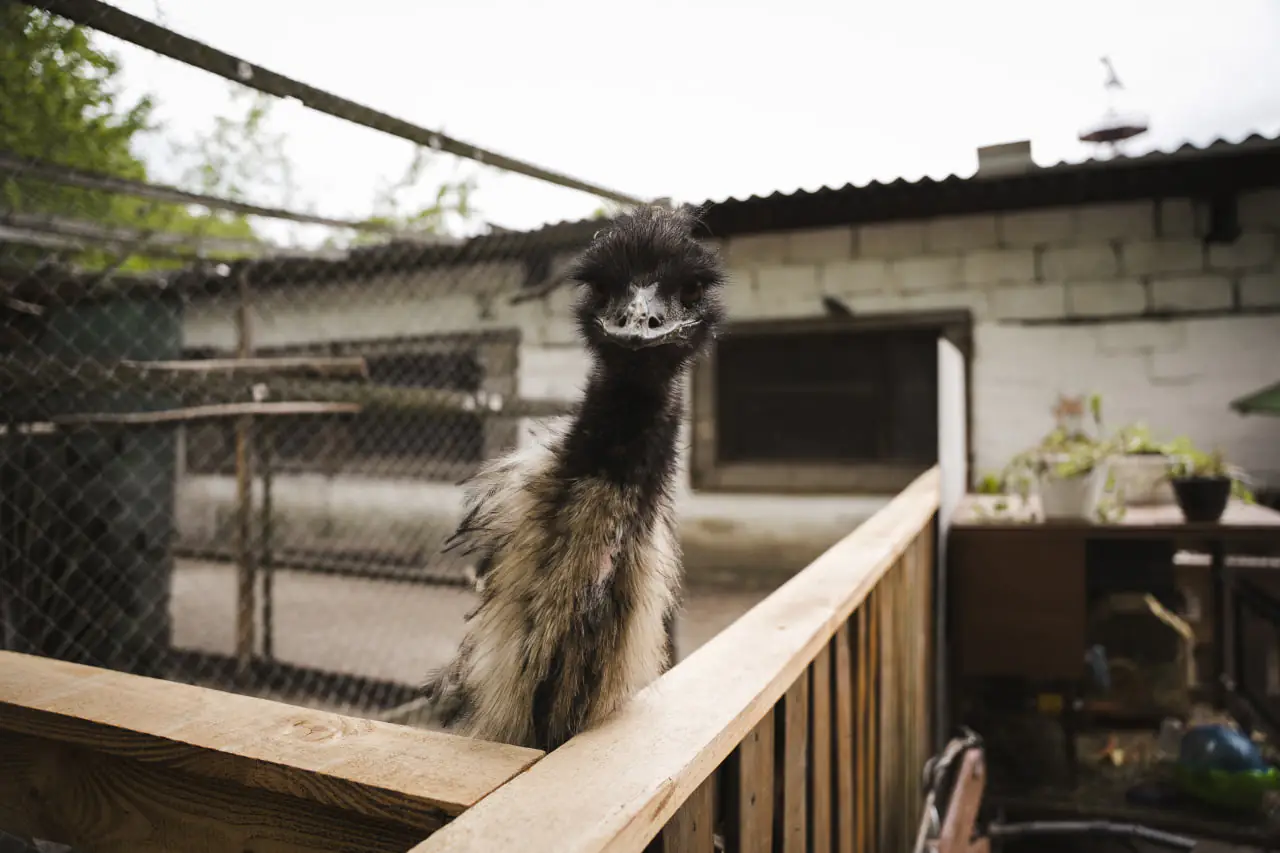 photo 2025 05 23 18 21 01 photo 2025 05 23 18 21 01