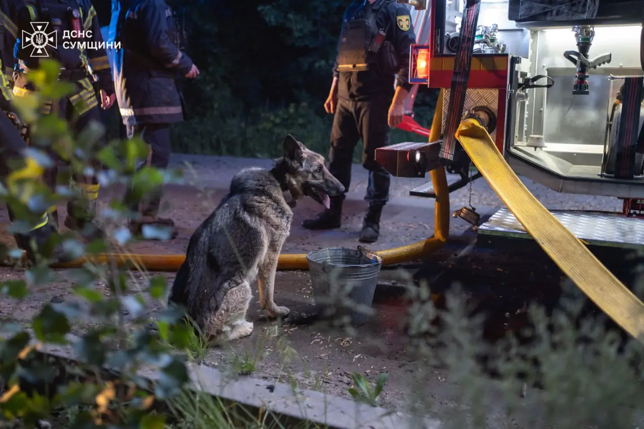 photo 2025 05 27 08 24 23 photo 2025 05 27 08 24 23