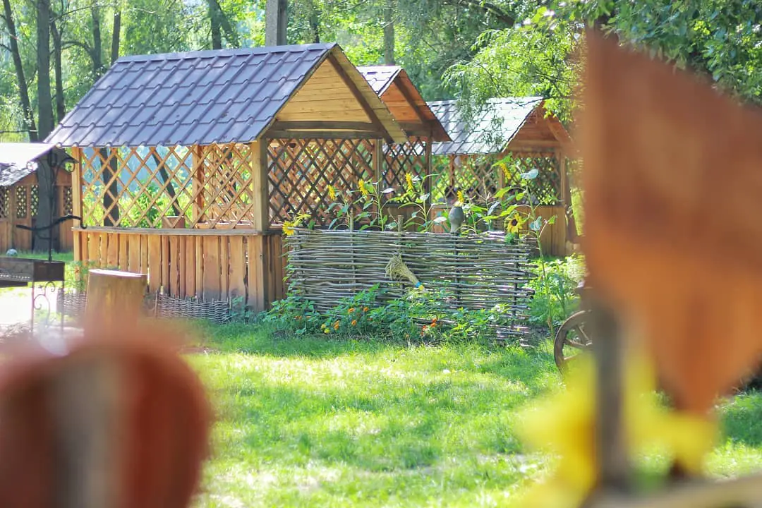 старі гусинці