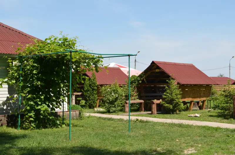 вітязь, сайт