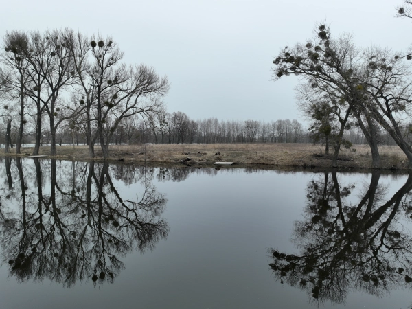 1710710697 dji fly 20240317 094650 75 1710666290657 photo