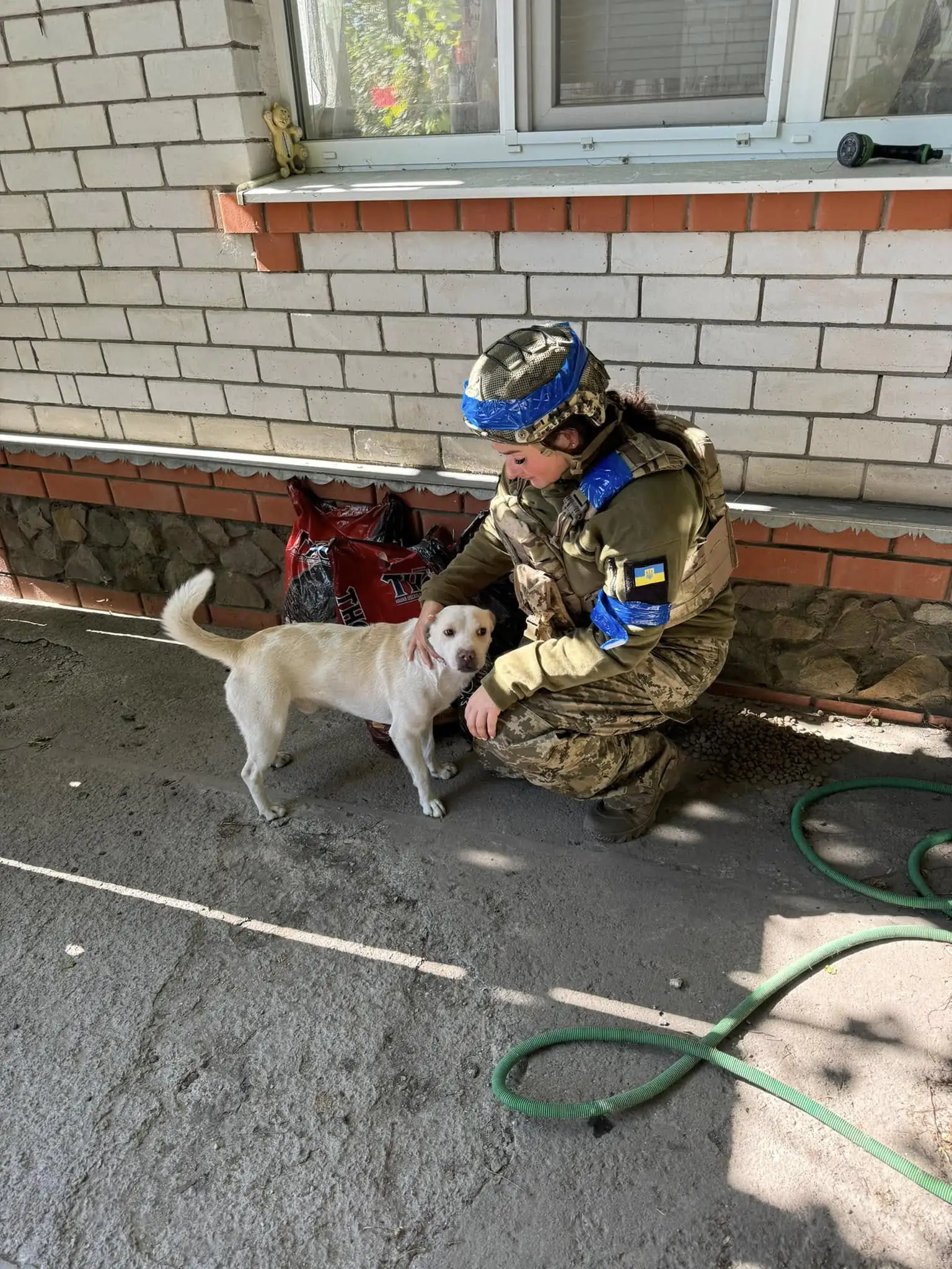 503834320 3721904814620052 7024956762957429655 n