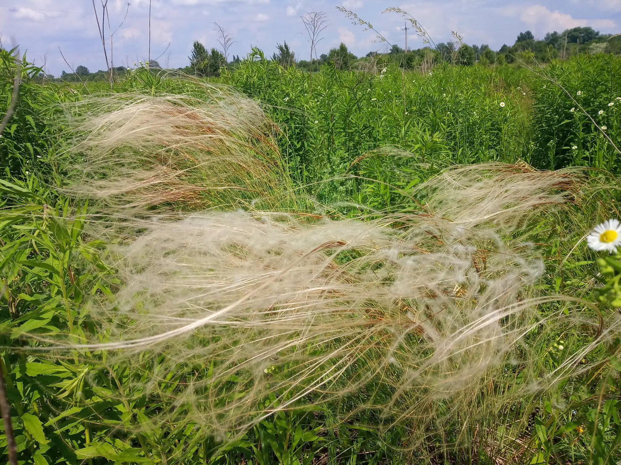 74997385 2400515740188899 4669041737547644928 n 74997385 2400515740188899 4669041737547644928 n