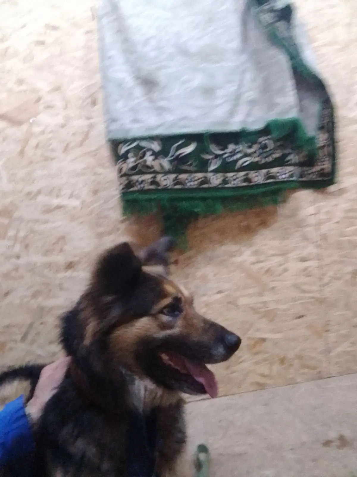 IMG 11846926e27cc4a8f67cf4f65738fc45 V