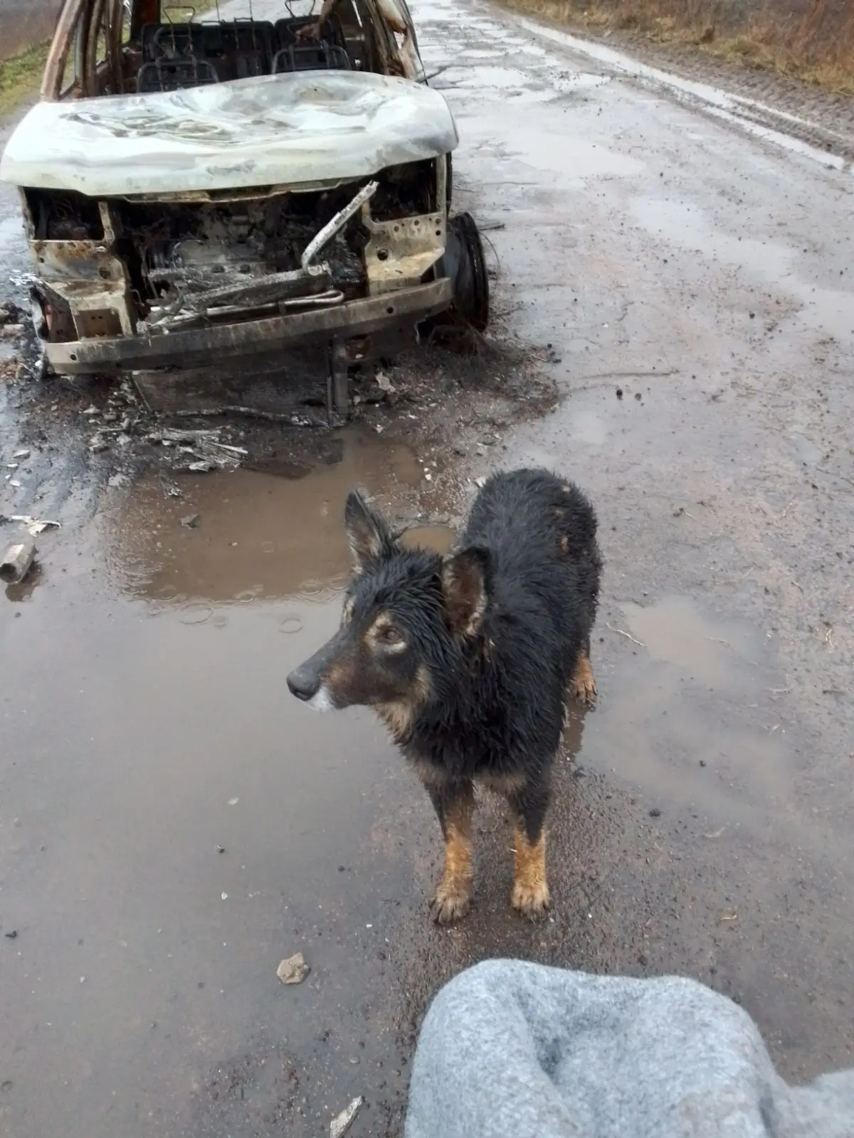 IMG cb71d05243f79df829ab1b43edc71199 V