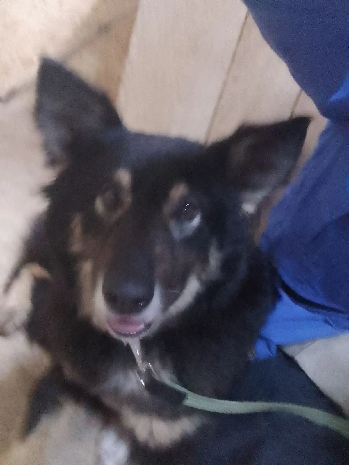 IMG dd43764a2ae3adad8203442de039bdab V