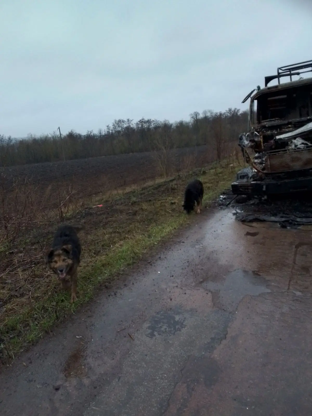 IMG f8e8b2d51acd0a9772397a24f569d9a3 V