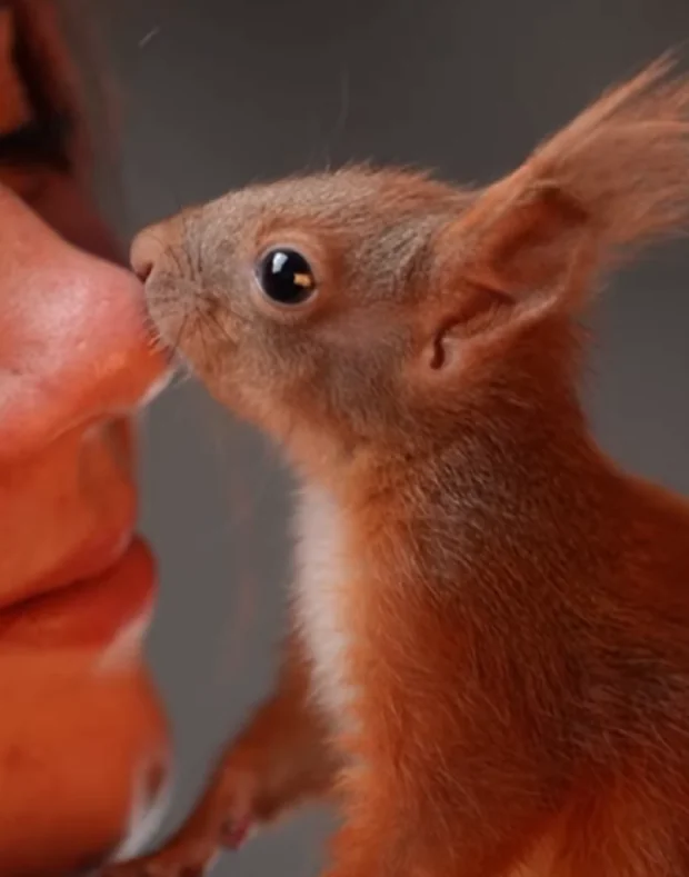 Znimok ekrana 2025 06 12 153209 Znimok ekrana 2025 06 12 153209