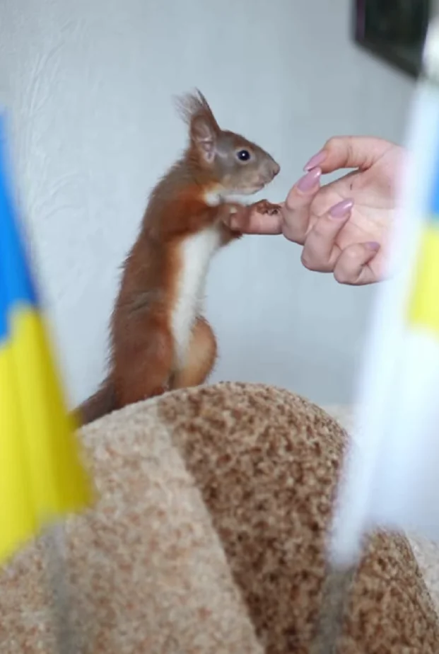 Znimok ekrana 2025 06 12 153220 Znimok ekrana 2025 06 12 153220